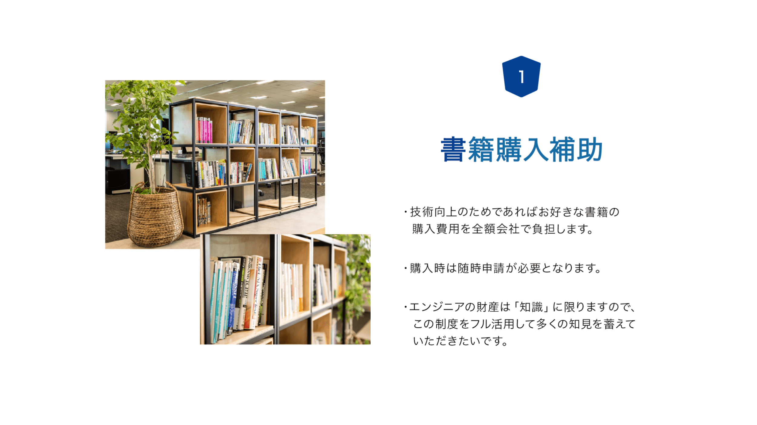 Slide 5